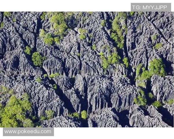 乌干达与南非精彩对决录像回放全程分析与精彩瞬间回顾 乌干达与南非精彩对决录像回放全程分析与精彩瞬间回顾