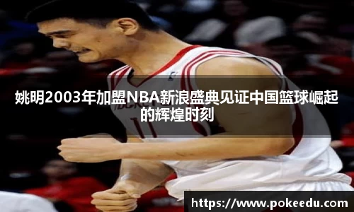 姚明2003年加盟NBA新浪盛典见证中国篮球崛起的辉煌时刻