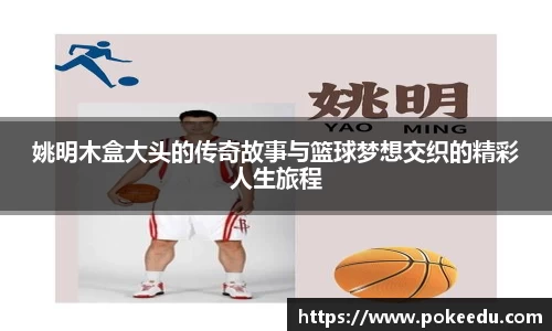 姚明木盒大头的传奇故事与篮球梦想交织的精彩人生旅程