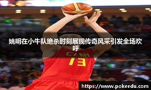 姚明在小牛队绝杀时刻展现传奇风采引发全场欢呼