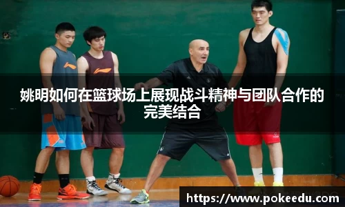 姚明如何在篮球场上展现战斗精神与团队合作的完美结合