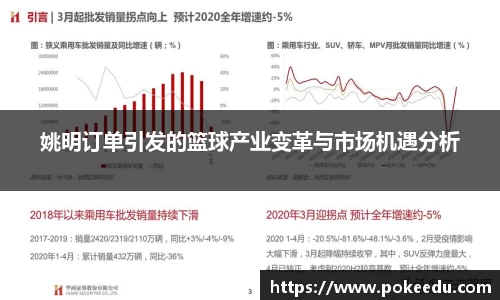 姚明订单引发的篮球产业变革与市场机遇分析